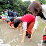 6月　田植え